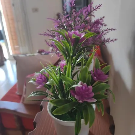 Casa Terrasini Lägenhet Marina di Ragusa