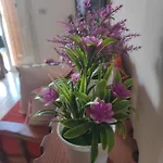 Casa Terrasini Апартаменты Марина-ди-Рагуза