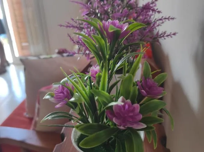 Casa Terrasini Apartment Marina di Ragusa